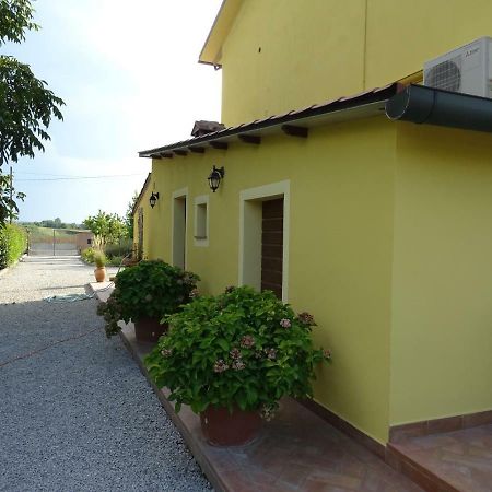 Appartamento Podere I Renai Santa Maria a Monte エクステリア 写真
